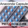 Anaconda Capsule viagra4